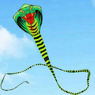 free shipping high quality 15m large snake kite cobra kite with handle line outdoor toys for adult bird kite eagle animal bee